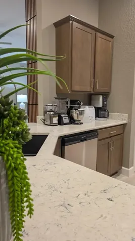 29 Matricaria Court Homosassa FL 34446