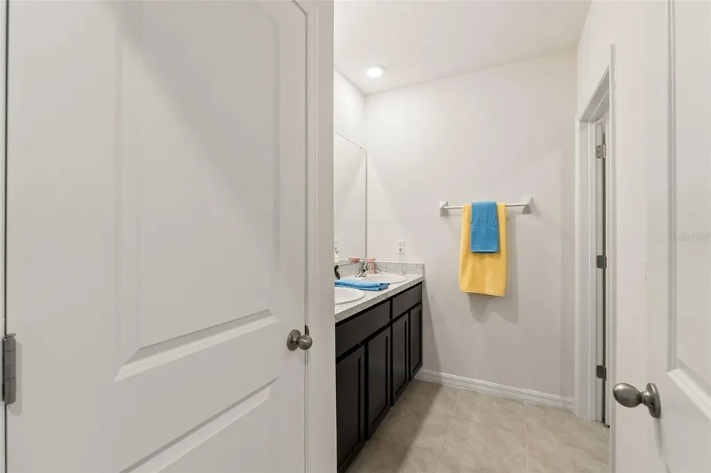 33567 Hamilton Hill Lane Wesley Chapel FL 33545