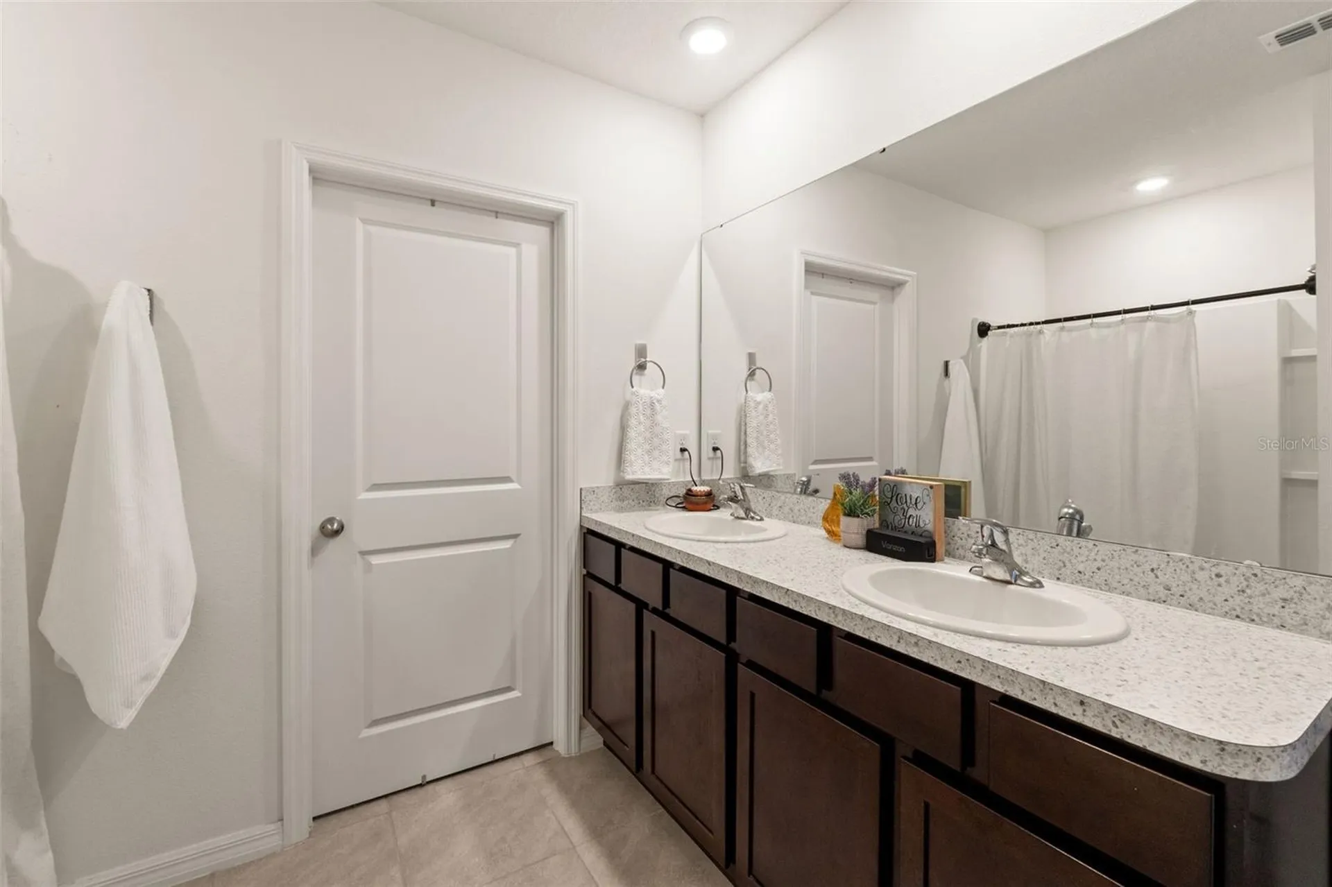 33567 Hamilton Hill Lane Wesley Chapel FL 33545