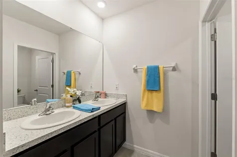 33567 Hamilton Hill Lane Wesley Chapel FL 33545