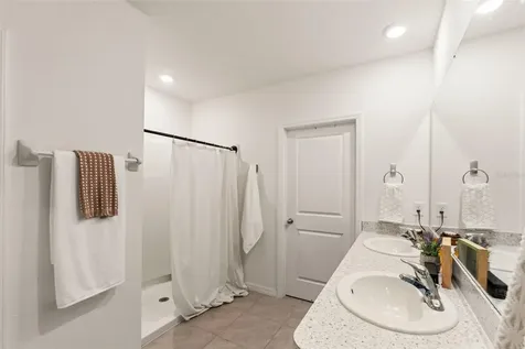 33567 Hamilton Hill Lane Wesley Chapel FL 33545