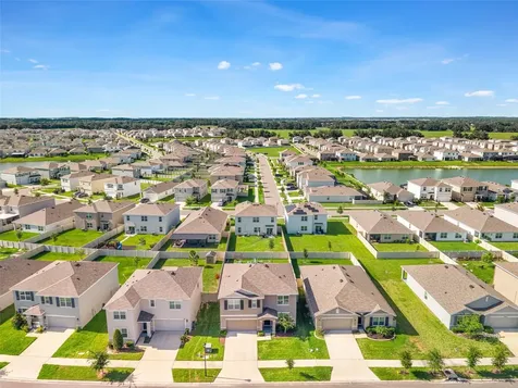 33567 Hamilton Hill Lane Wesley Chapel FL 33545