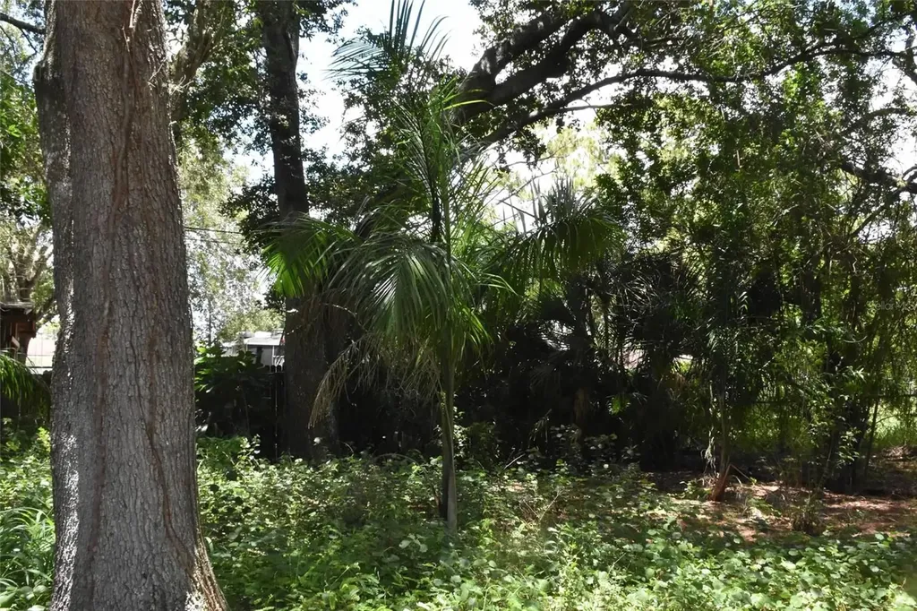 907 Pine Street Immokalee FL 34142