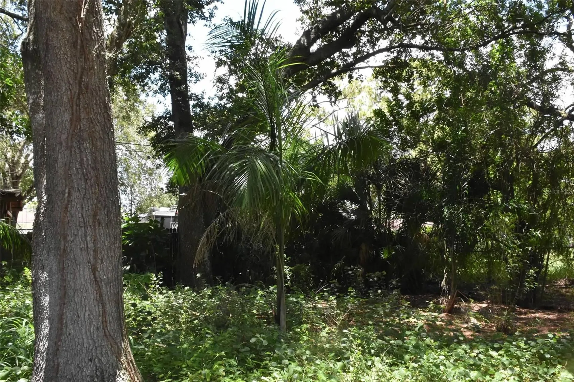 907 Pine Street Immokalee FL 34142