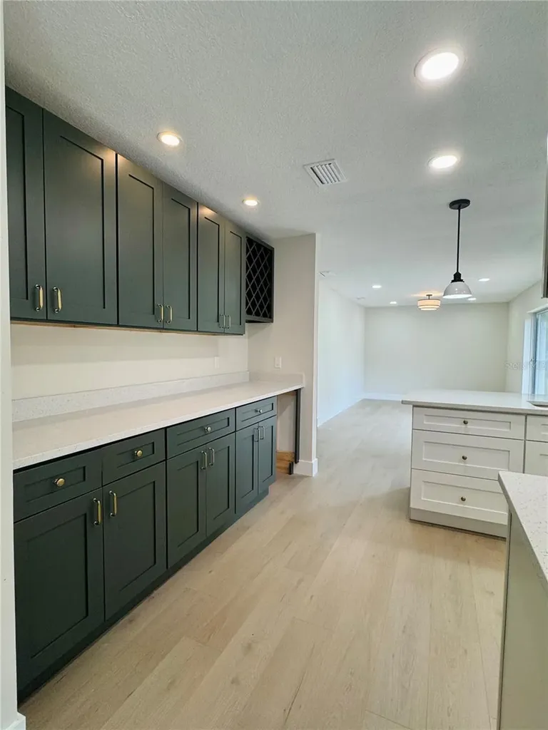 4405 Coconut Cove Place Valrico FL 33596