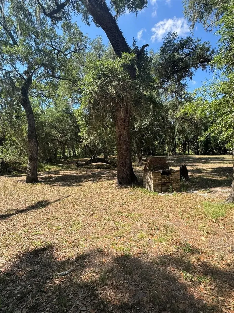 4405 Coconut Cove Place Valrico FL 33596