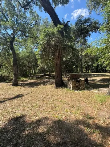 4405 Coconut Cove Place Valrico FL 33596