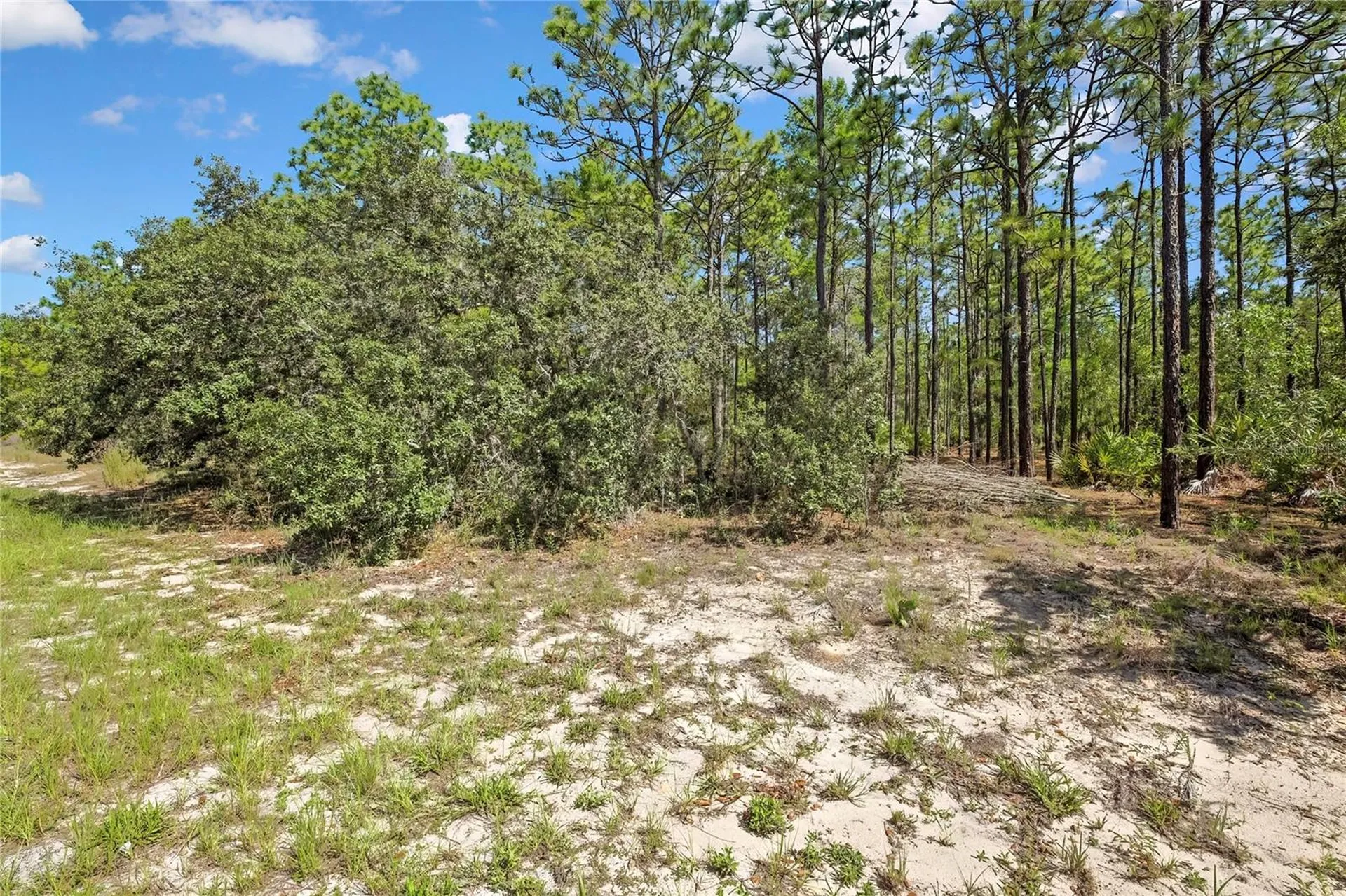 4156 W Horseshoe Drive Beverly Hills FL 34465