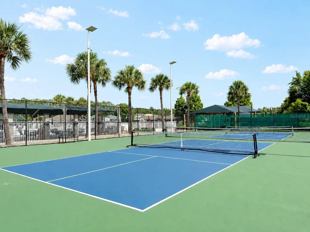 30710 Nickerson Loop Wesley Chapel FL 33543