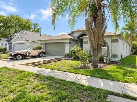 30710 Nickerson Loop Wesley Chapel FL 33543