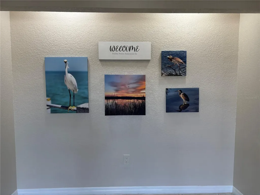 2333 Feather Sound Drive Clearwater FL 33762