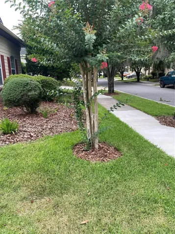 8389 SW 80th Place Gainesville FL 32608