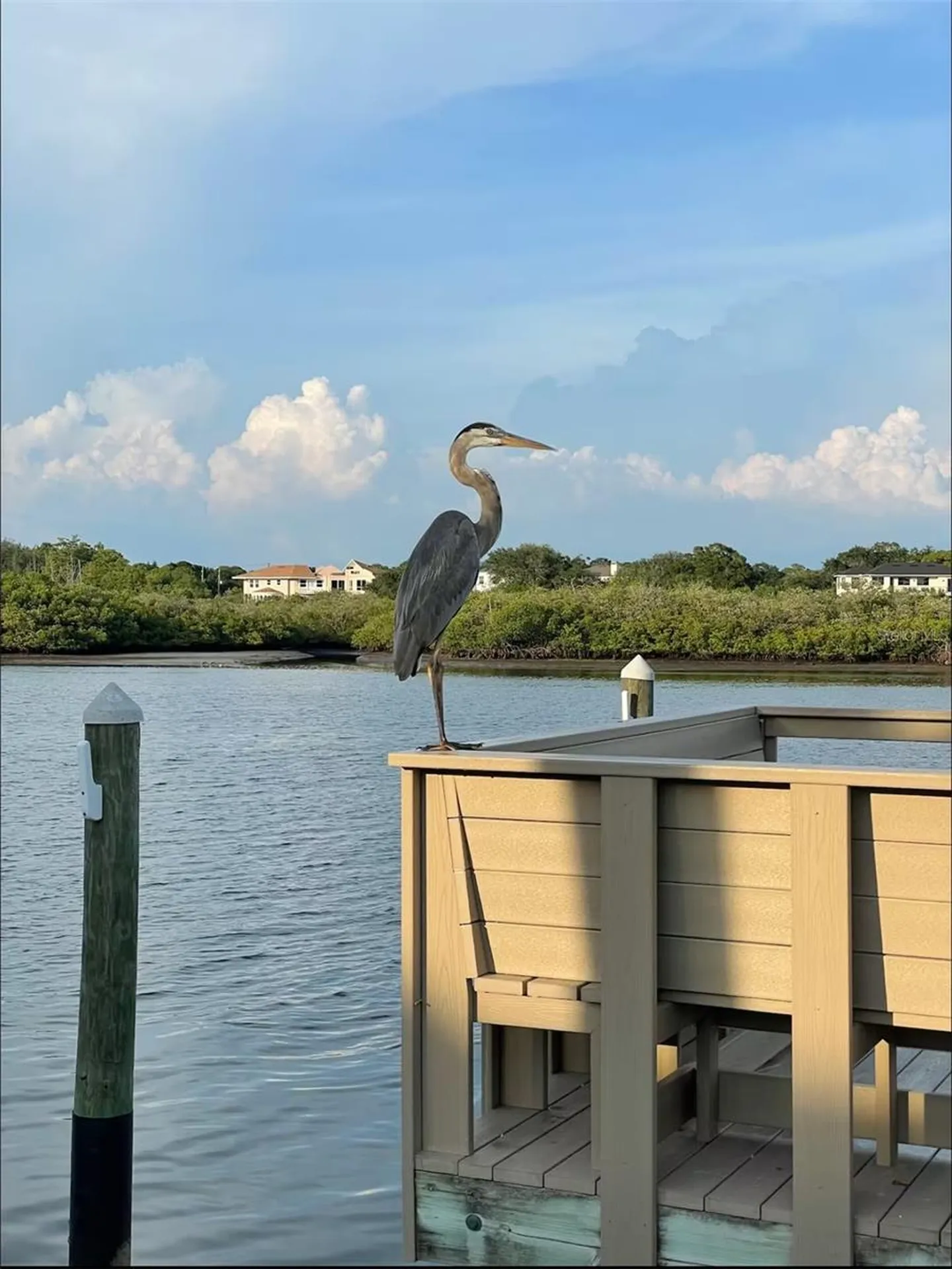 19417 Gulf Boulevard Indian Rocks Beach FL 33785