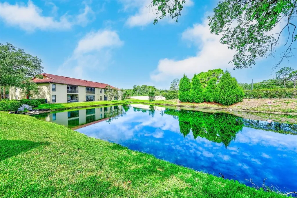 1801 E Lake Road Palm Harbor FL 34685