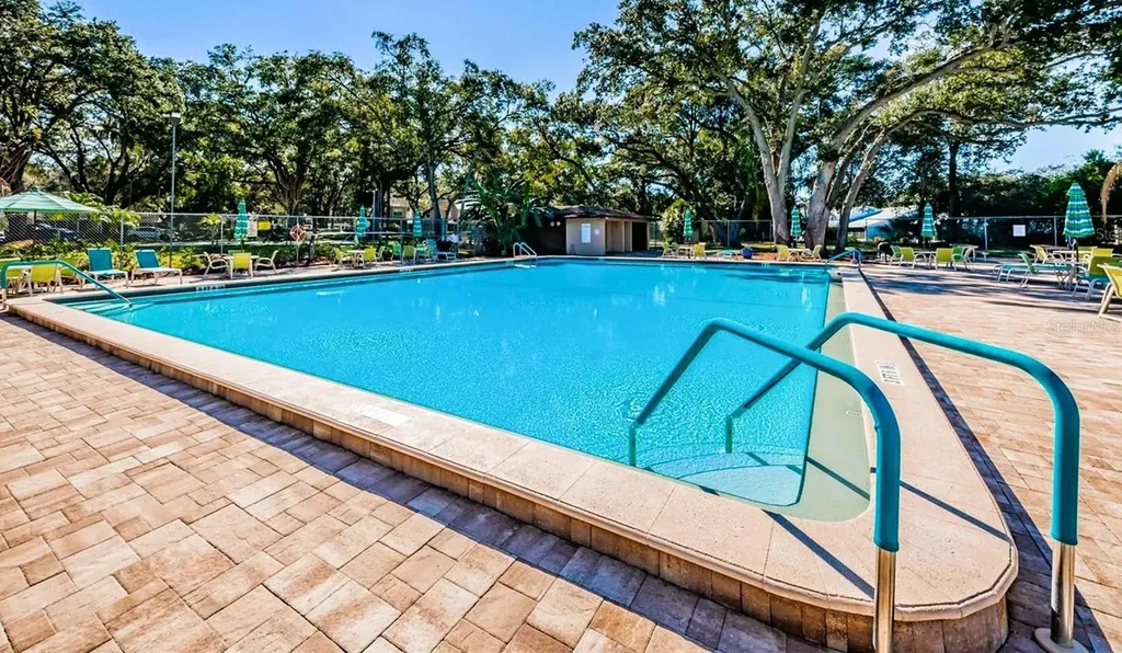 2452 Bush Tail Court Palm Harbor FL 34683