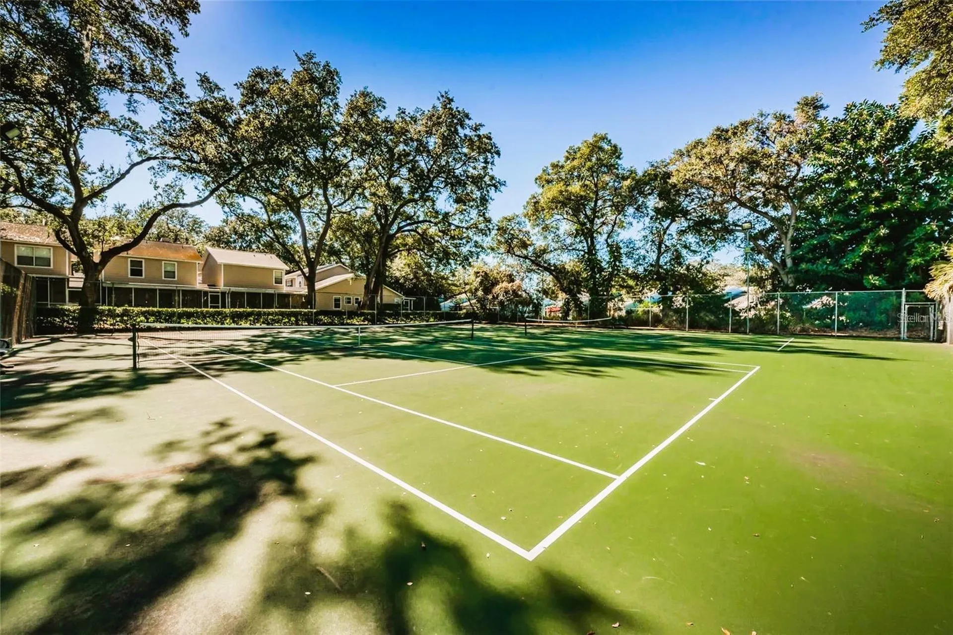 2452 Bush Tail Court Palm Harbor FL 34683