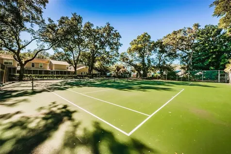 2452 Bush Tail Court Palm Harbor FL 34683