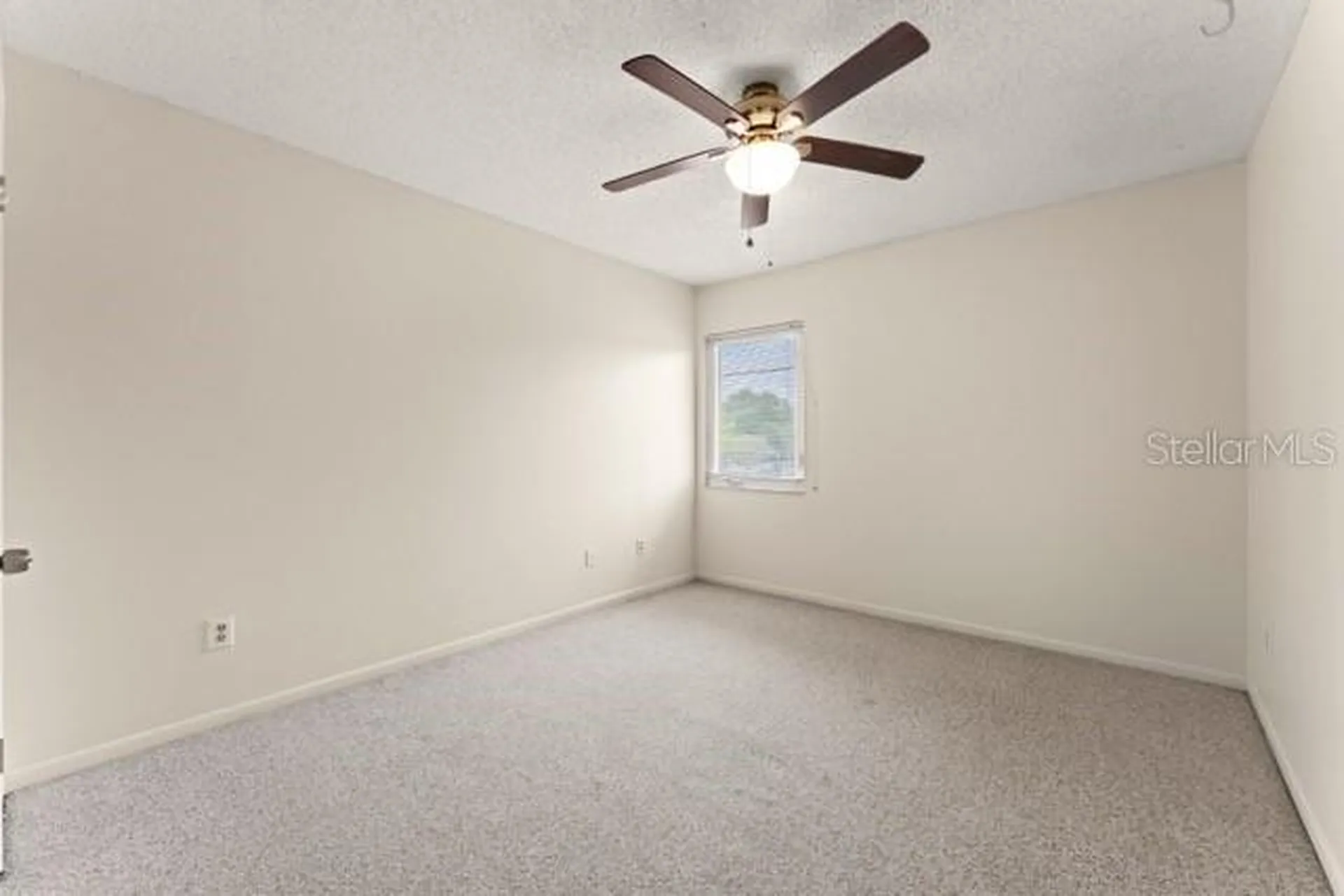 527 S Lincoln Avenue Tampa FL 33609