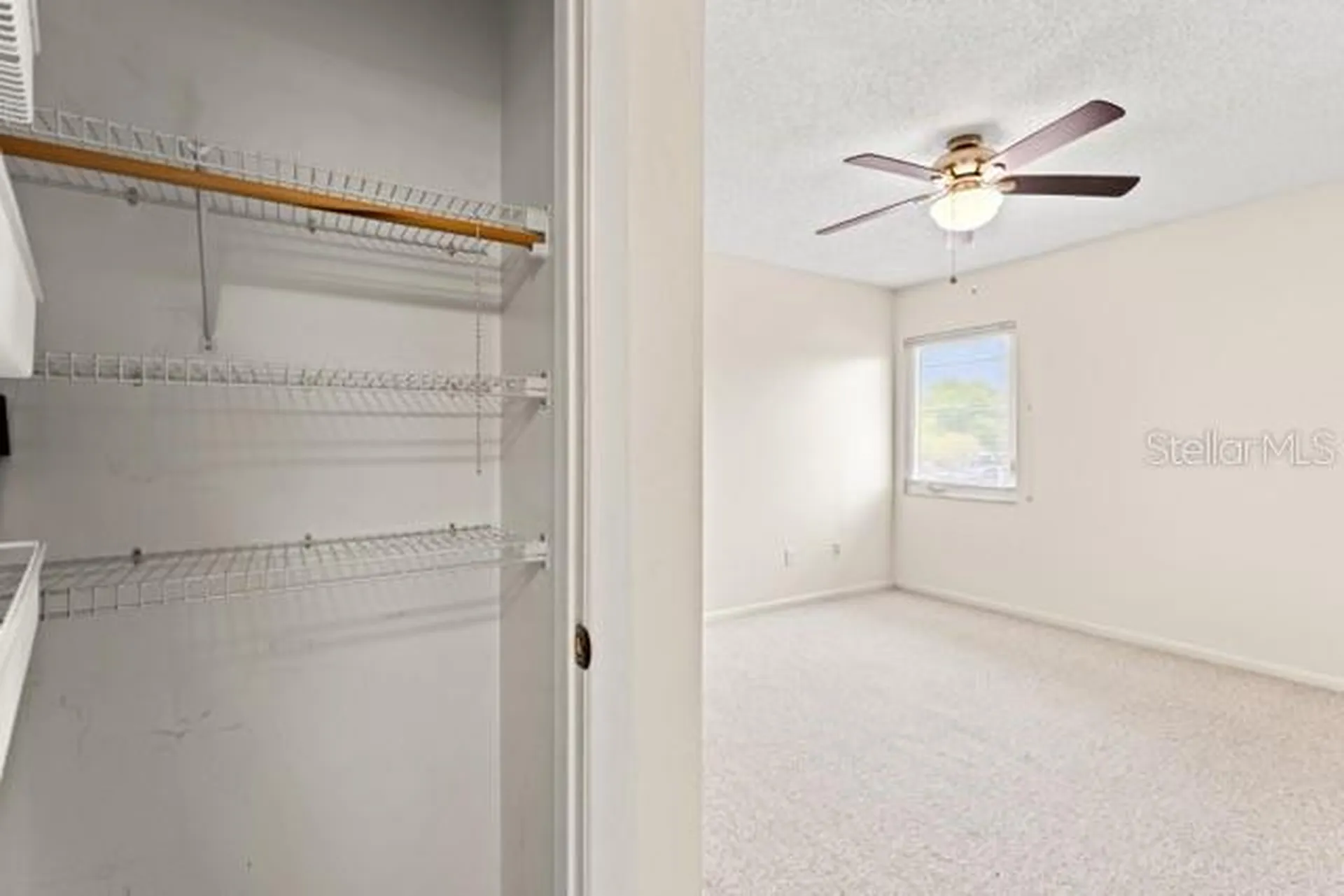 527 S Lincoln Avenue Tampa FL 33609