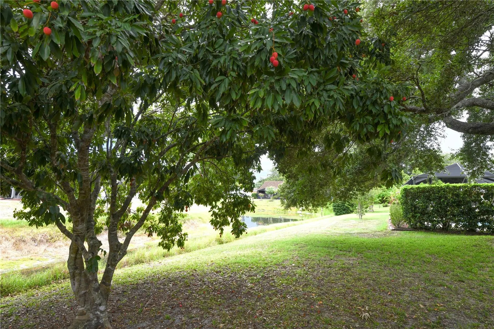 4749 Hamlets Grove Drive Sarasota FL 34235