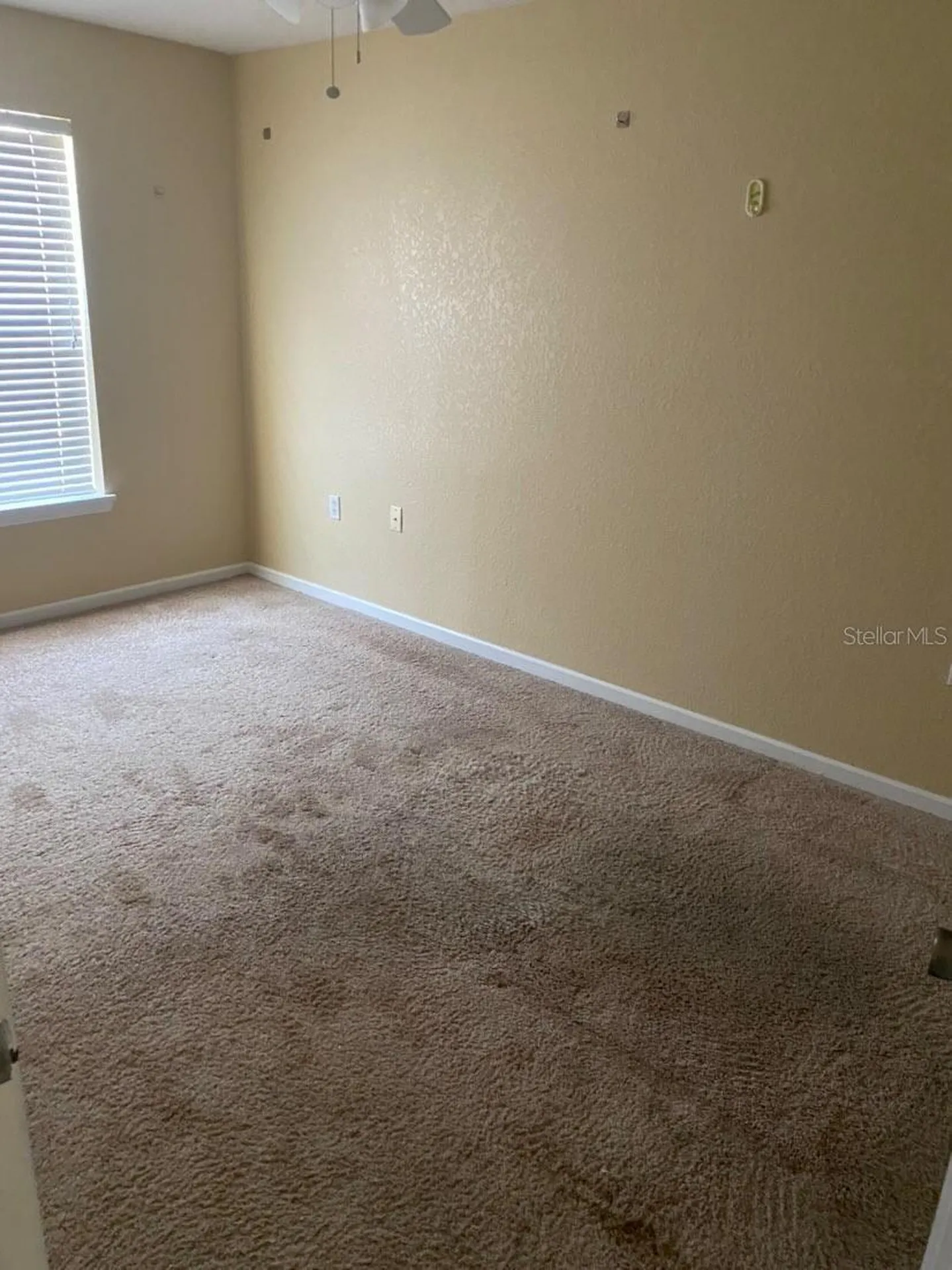 16314 Worchester Palms Court Tampa FL 33647