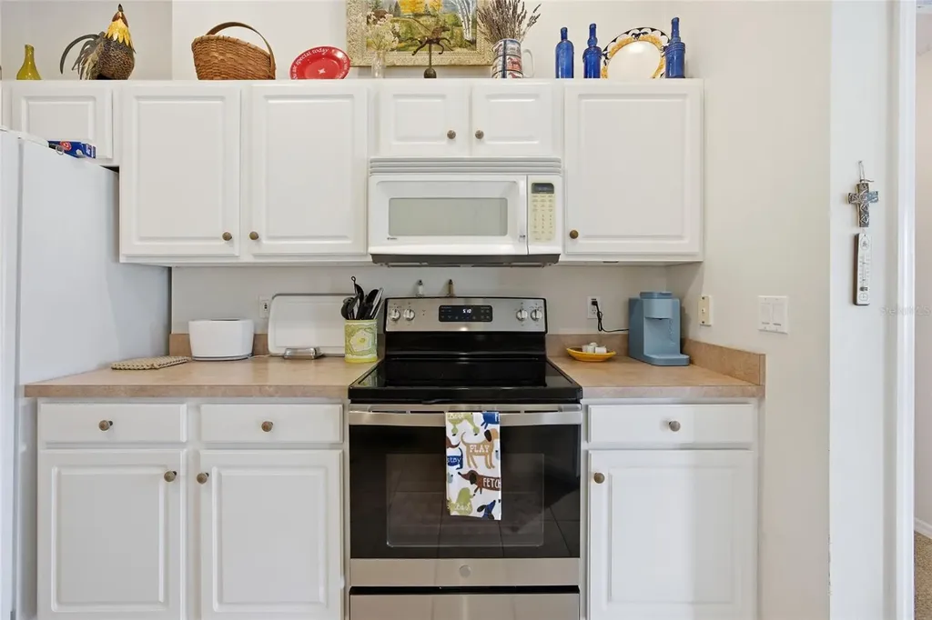 19630 SE 15th Place Morriston FL 32668
