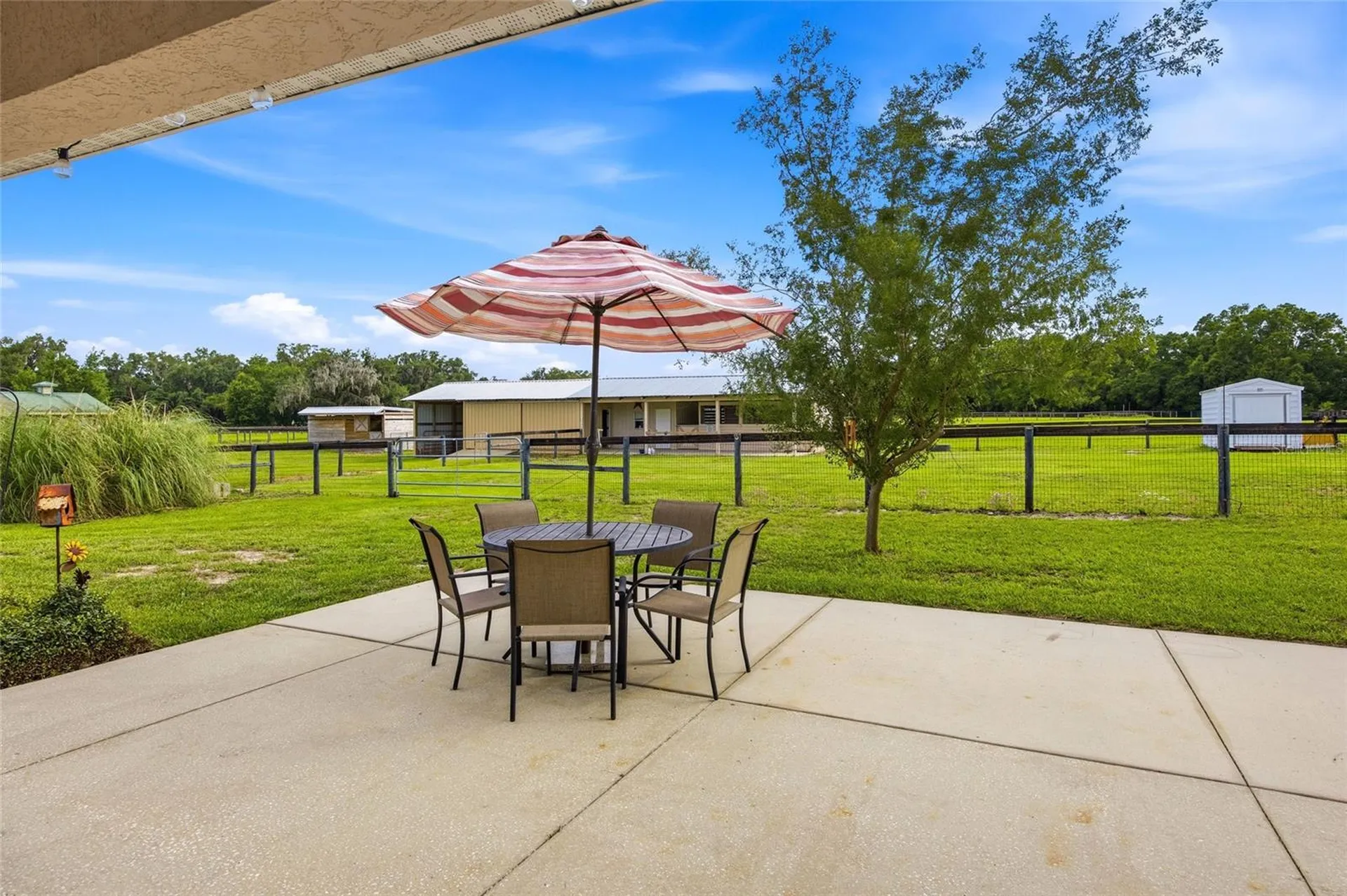 19630 SE 15th Place Morriston FL 32668