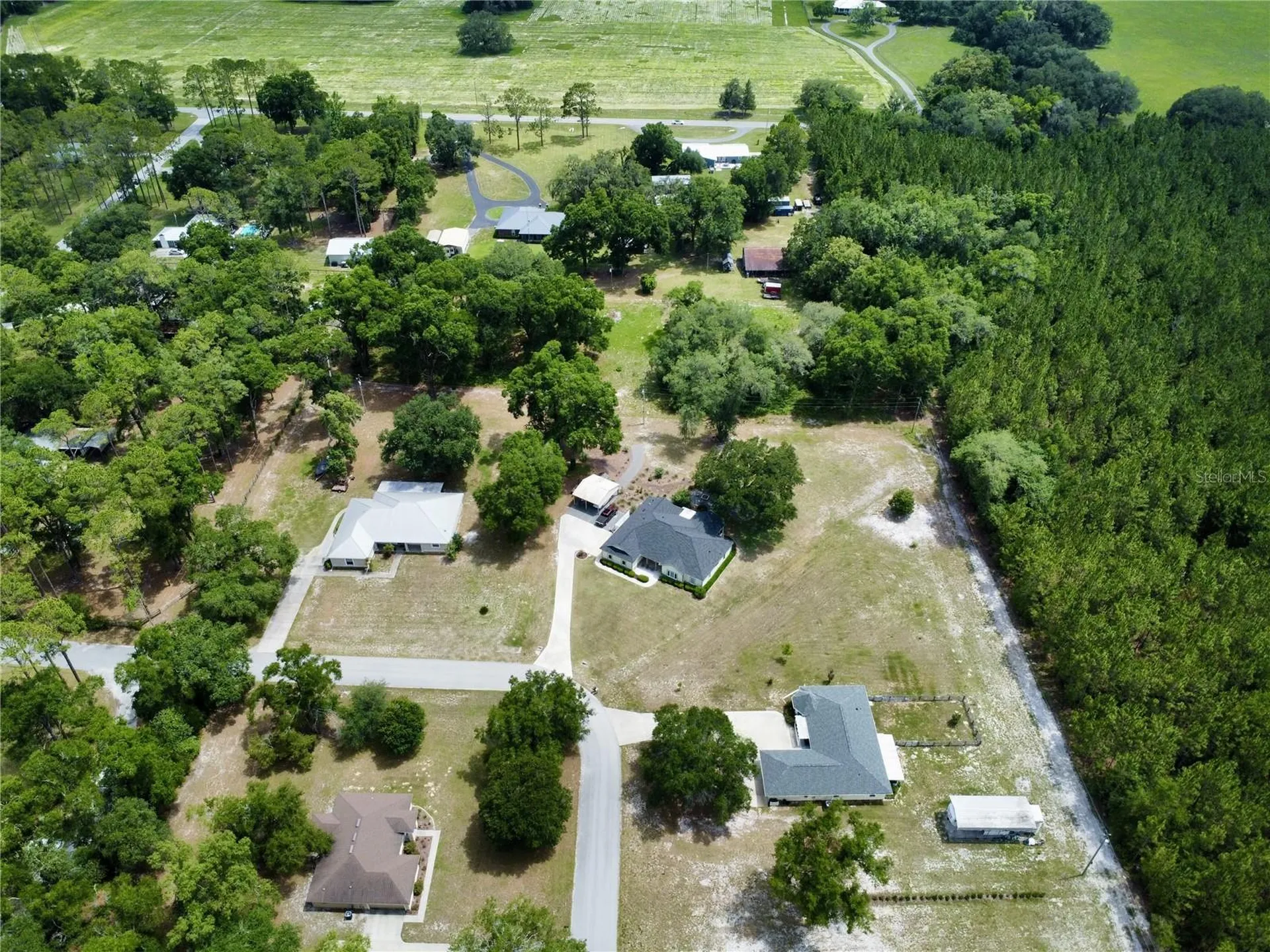 18450 NE 61st Lane Williston FL 32696