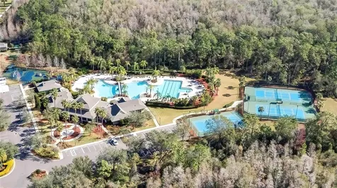 20404 Harvest Oak Court Tampa FL 33647