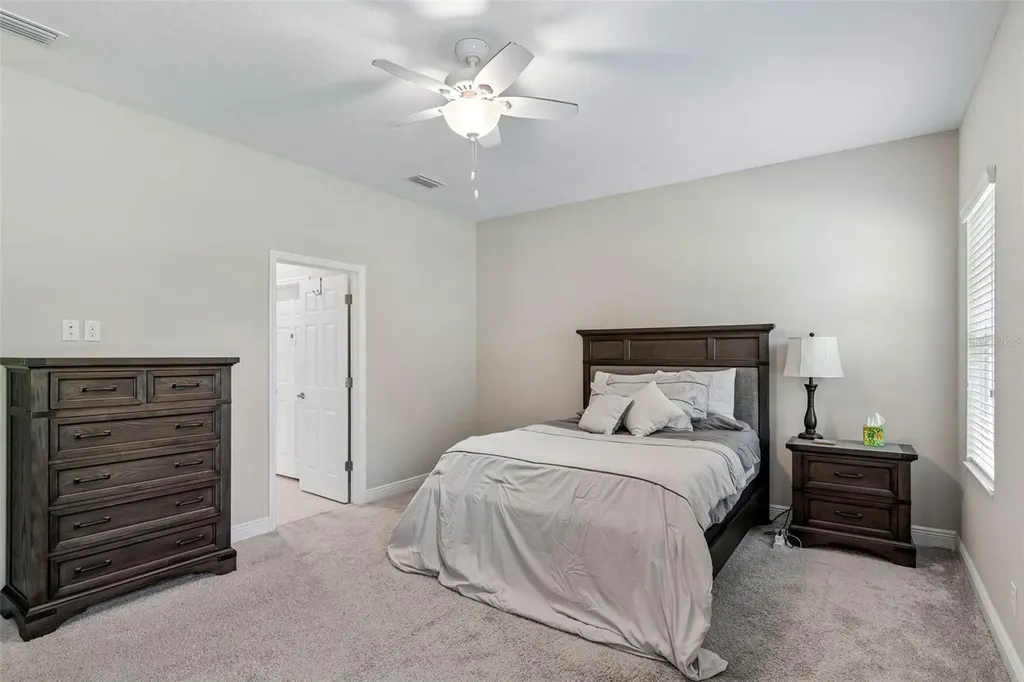 3834 Balcony Breeze Drive Land O Lakes FL 34638