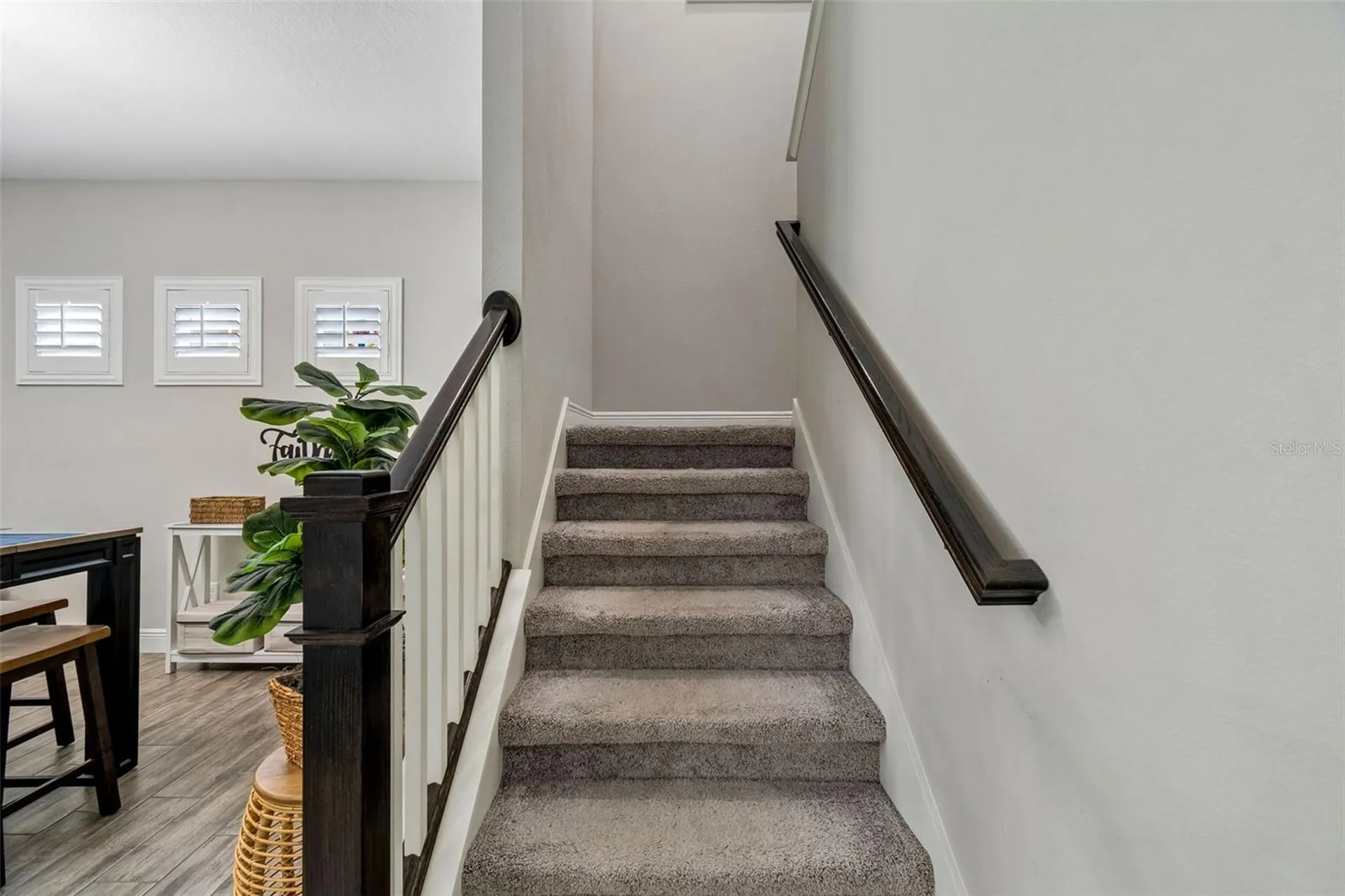 3834 Balcony Breeze Drive Land O Lakes FL 34638