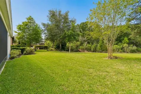 3834 Balcony Breeze Drive Land O Lakes FL 34638
