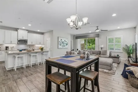 3834 Balcony Breeze Drive Land O Lakes FL 34638