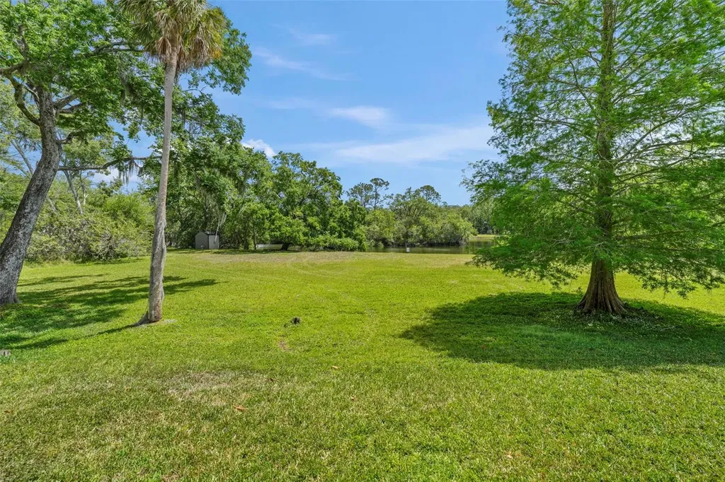 1200 Tarpon Woods Boulevard Palm Harbor FL 34685