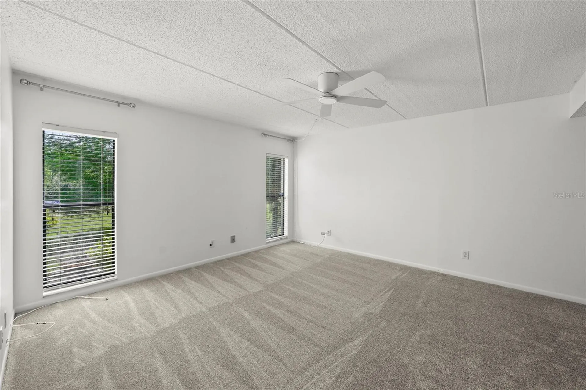 1200 Tarpon Woods Boulevard Palm Harbor FL 34685