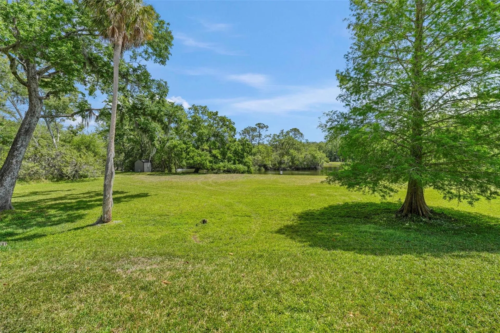 1200 Tarpon Woods Boulevard Palm Harbor FL 34685