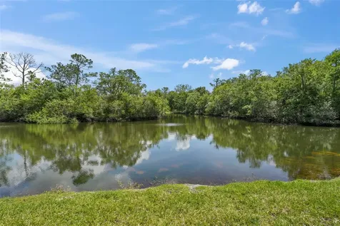 1200 Tarpon Woods Boulevard Palm Harbor FL 34685