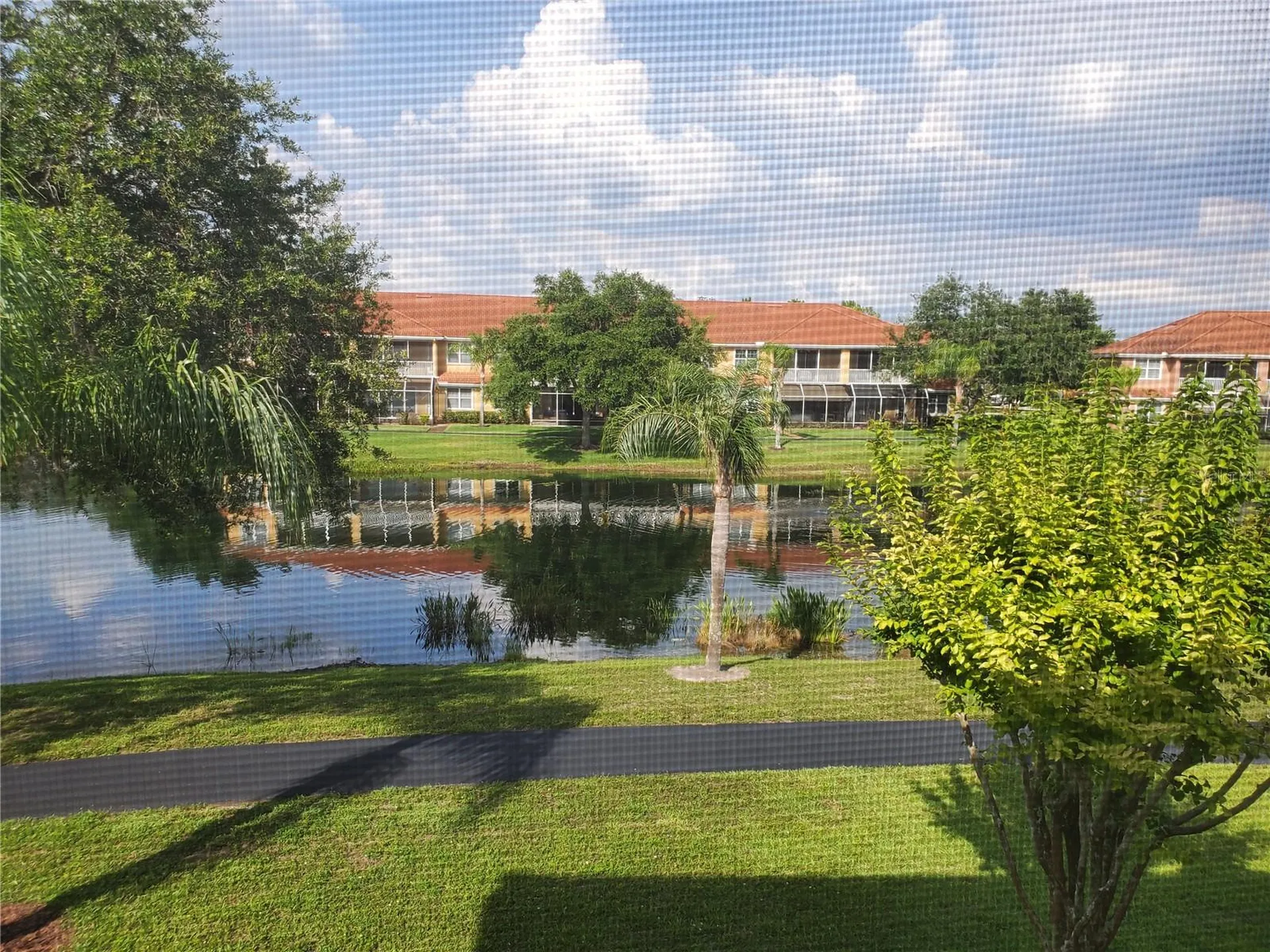 6750 Dali Avenue Land O Lakes FL 34637