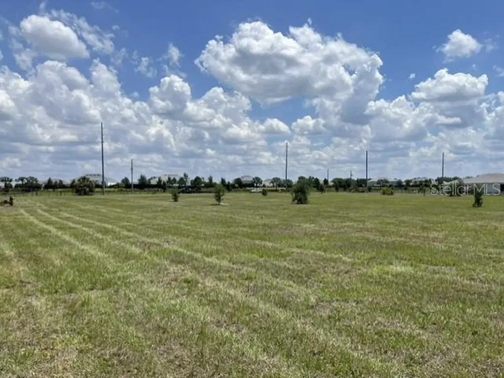 15202 Patterson Road Odessa FL 33556