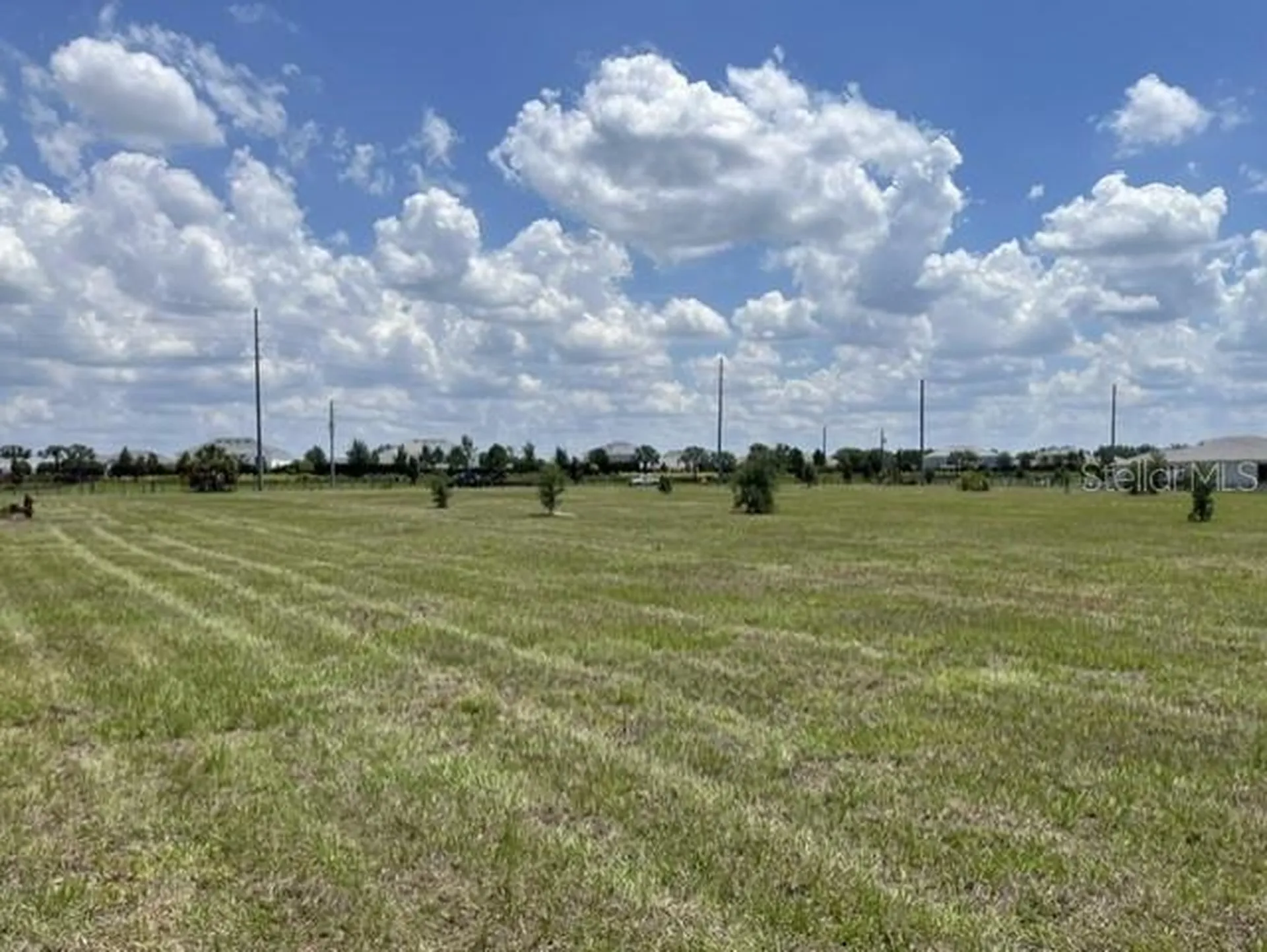 15202 Patterson Road Odessa FL 33556