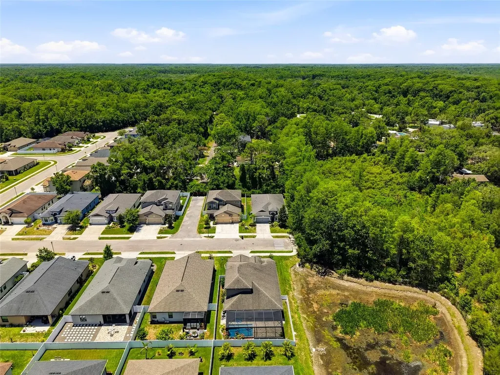 12307 Newt Court New Port Richey FL 34654
