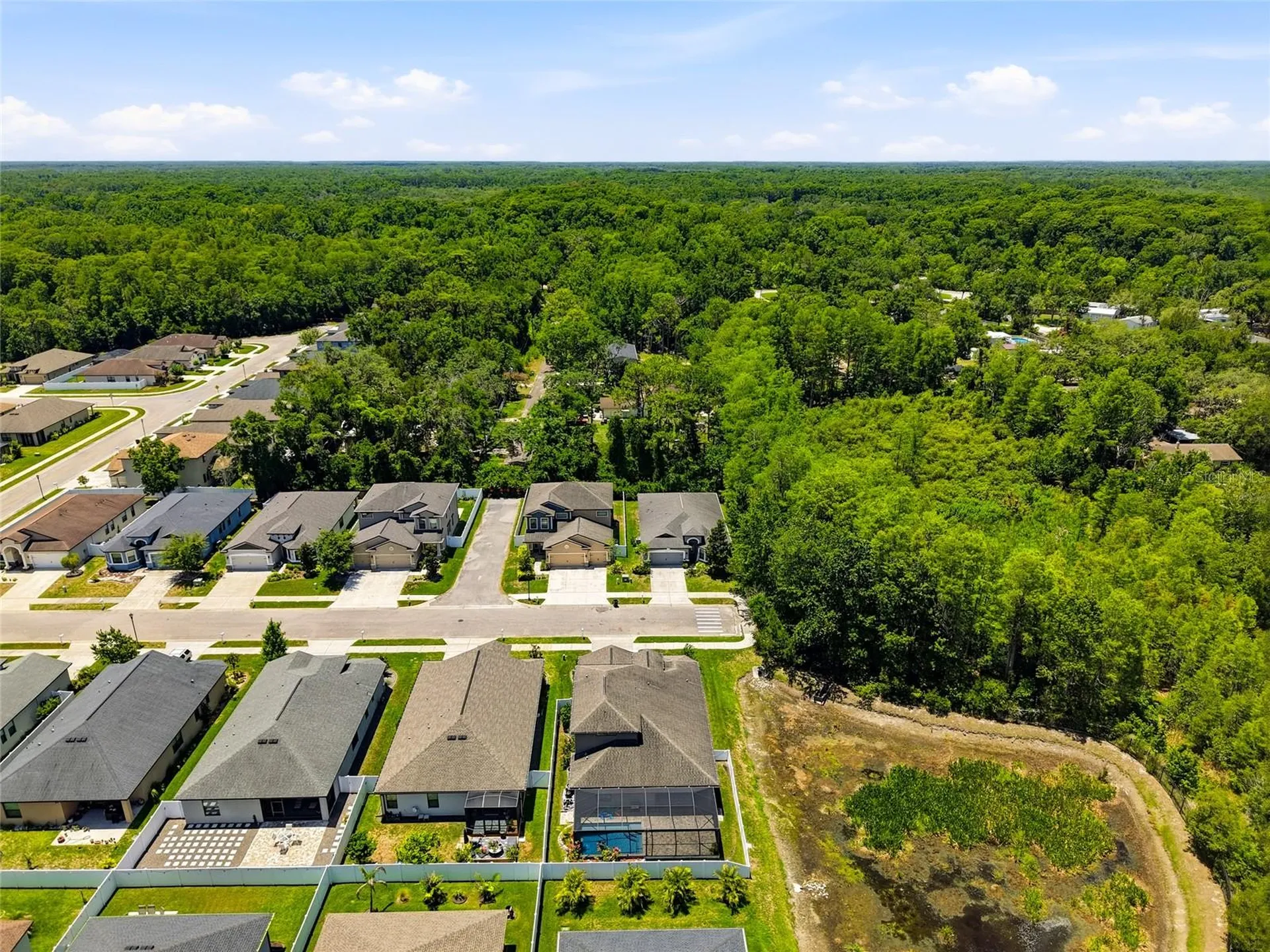 12307 Newt Court New Port Richey FL 34654