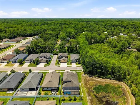 12307 Newt Court New Port Richey FL 34654
