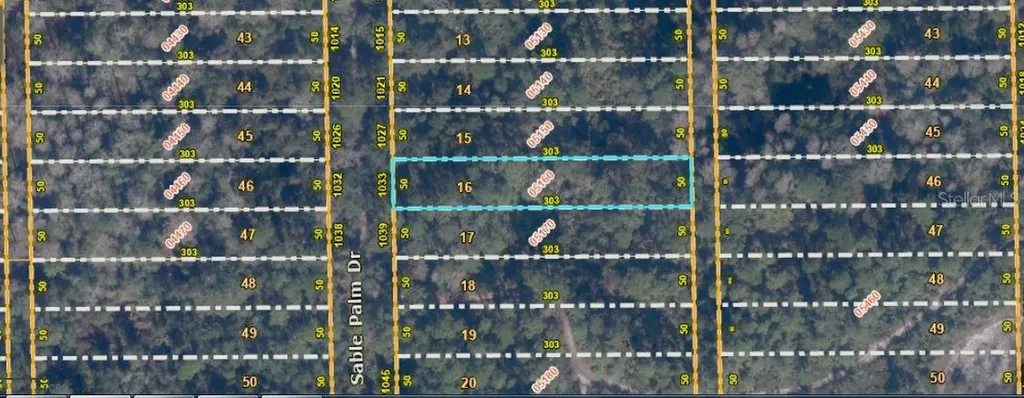 1033 Sable Palm Drive Christmas FL 32709