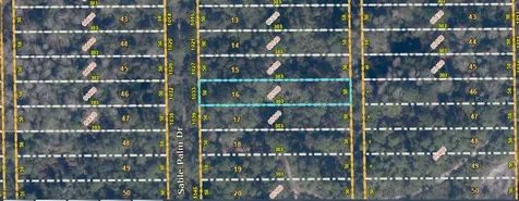1033 Sable Palm Drive Christmas FL 32709