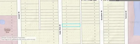 1033 Sable Palm Drive Christmas FL 32709
