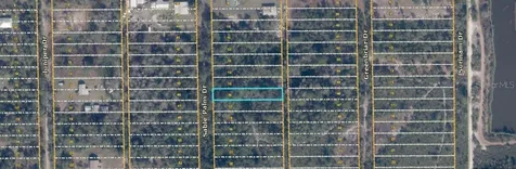 1033 Sable Palm Drive Christmas FL 32709