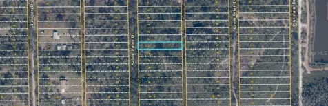 1039 Sable Palm Drive Christmas FL 32709