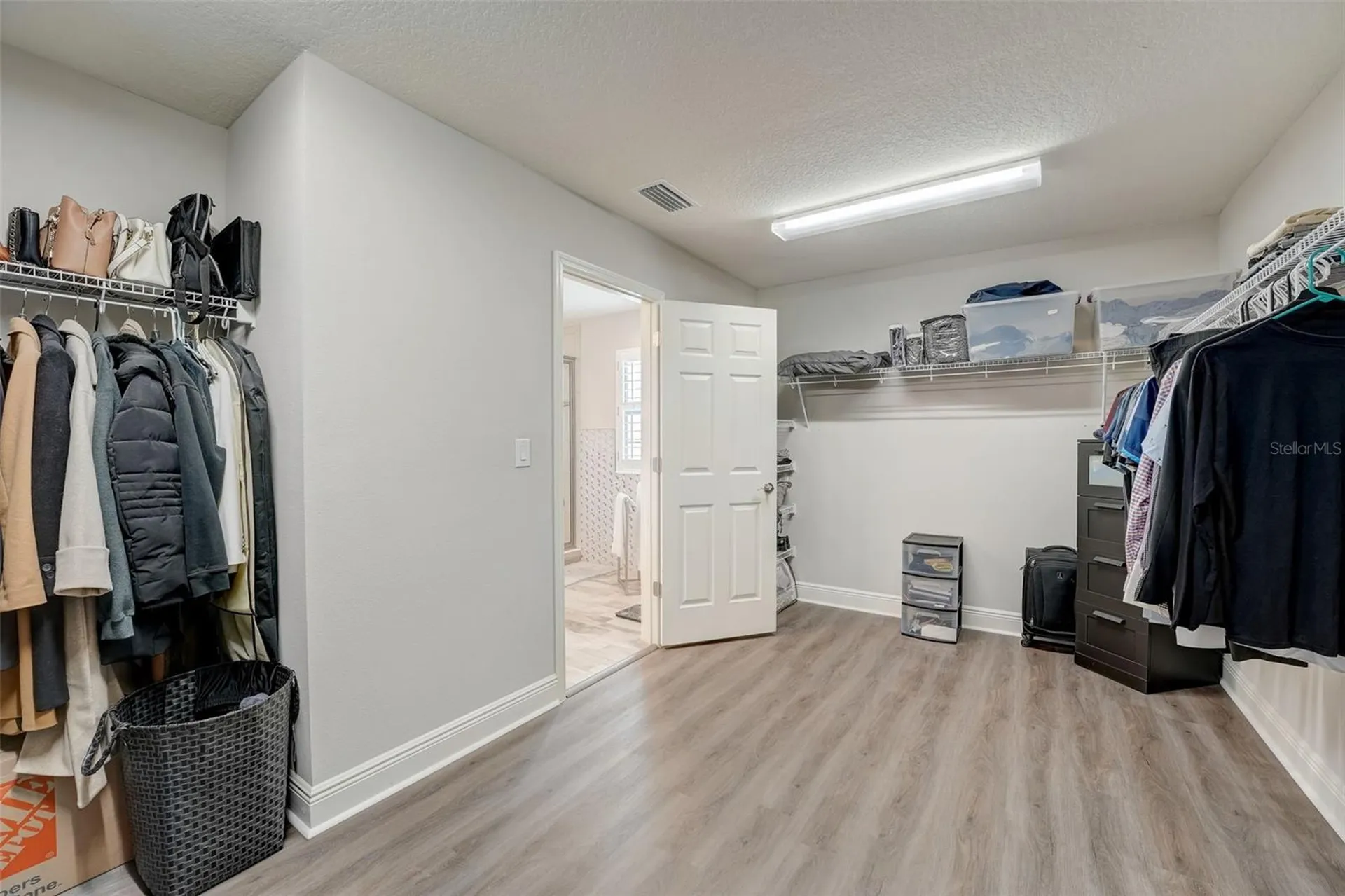 13106 Foxtail Fern Drive Riverview FL 33579