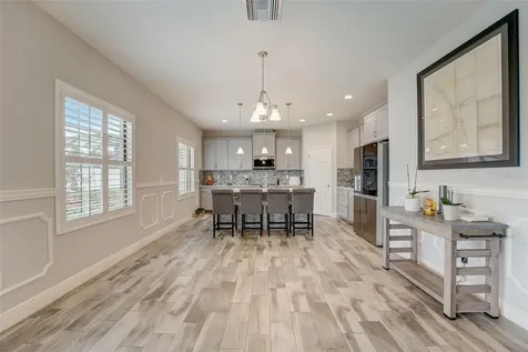 13106 Foxtail Fern Drive Riverview FL 33579